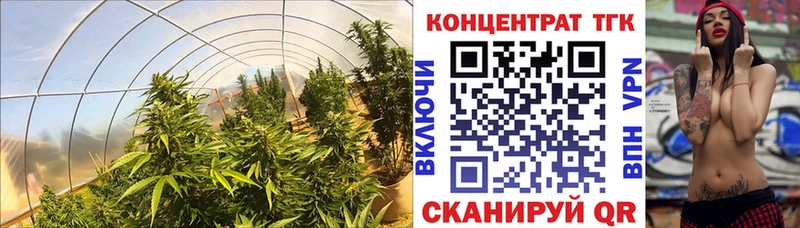 Дистиллят ТГК концентрат Искитим